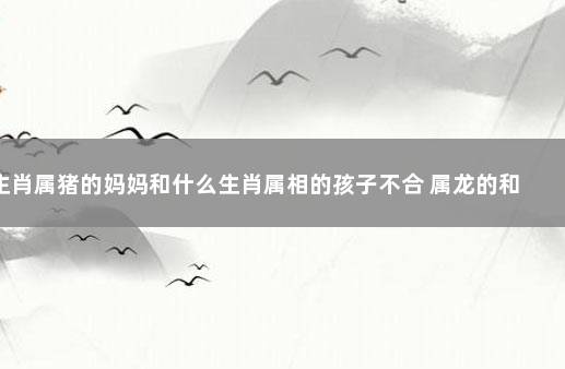 生肖属猪的妈妈和什么生肖属相的孩子不合 属龙的和什么属相不合