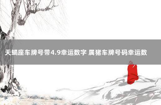 天蝎座车牌号带4.9幸运数字 属猪车牌号码幸运数字