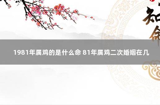 1981年属鸡的是什么命 81年属鸡二次婚姻在几岁