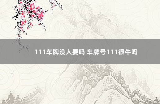 111车牌没人要吗 车牌号111很牛吗