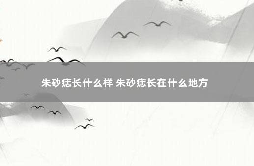 朱砂痣长什么样 朱砂痣长在什么地方