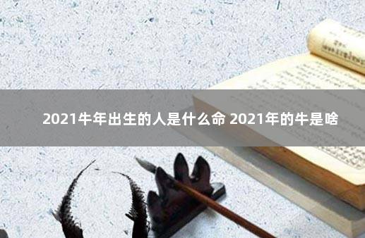 2021牛年出生的人是什么命 2021年的牛是啥命