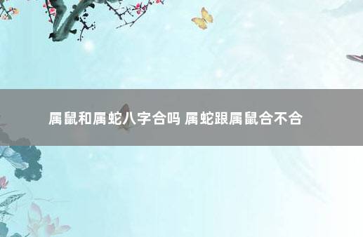 属鼠和属蛇八字合吗 属蛇跟属鼠合不合