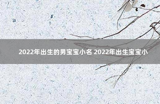 2022年出生的男宝宝小名 2022年出生宝宝小名