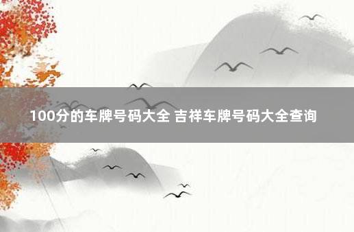 100分的车牌号码大全 吉祥车牌号码大全查询