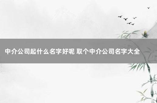 中介公司起什么名字好呢 取个中介公司名字大全