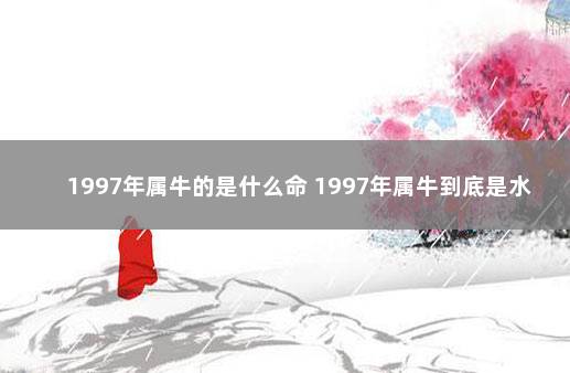 1997年属牛的是什么命 1997年属牛到底是水命还是火命