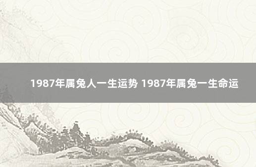 1987年属兔人一生运势 1987年属兔一生命运