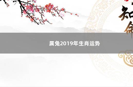 属兔2019年生肖运势