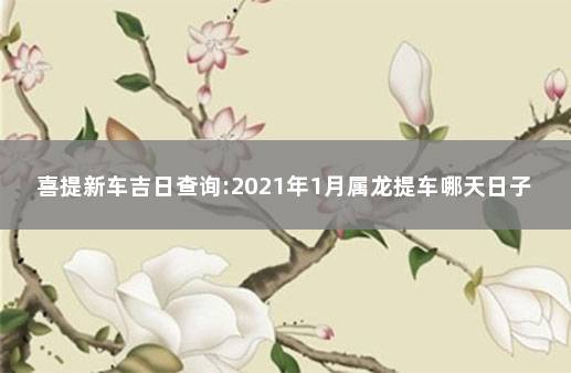 喜提新车吉日查询:2021年1月属龙提车哪天日子好  20211月份的黄道吉日提车