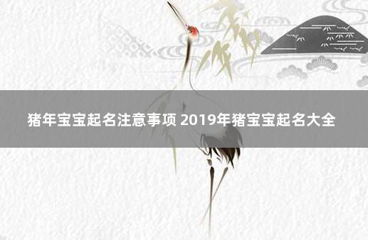 猪年宝宝起名注意事项 2019年猪宝宝起名大全