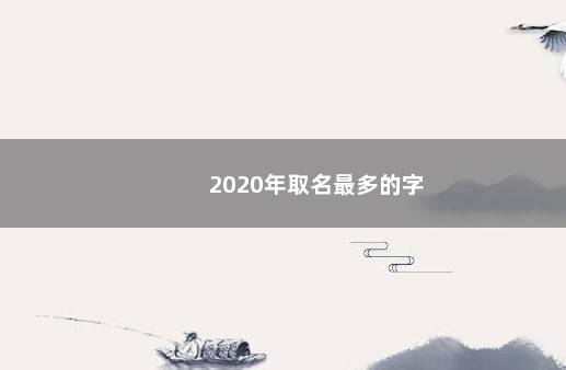 2020年取名最多的字