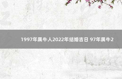 1997年属牛人2022年结婚吉日 97年属牛2022年结婚好吗