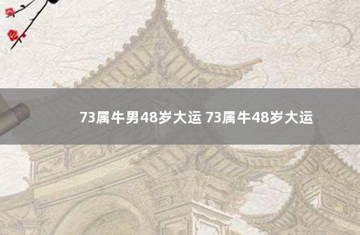 73属牛男48岁大运 73属牛48岁大运