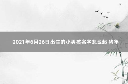 2021年6月26日出生的小男孩名字怎么起 猪年男孩小名洋气点的