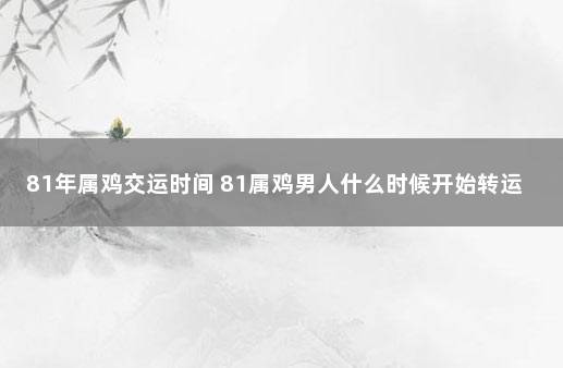 81年属鸡交运时间 81属鸡男人什么时候开始转运