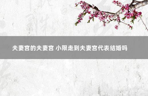 夫妻宫的夫妻宫 小限走到夫妻宫代表结婚吗