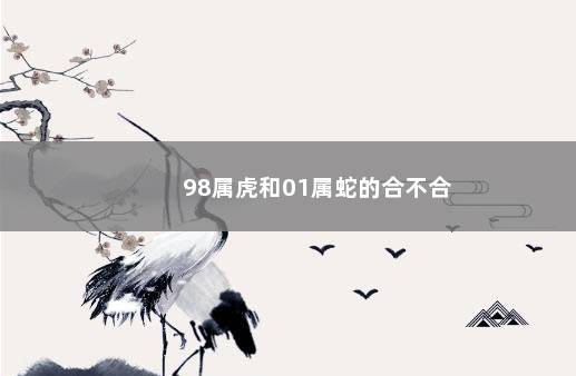 98属虎和01属蛇的合不合