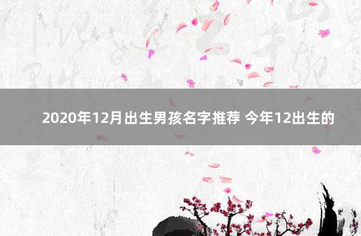 2020年12月出生男孩名字推荐 今年12出生的男孩叫什么名字