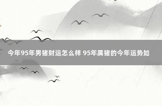 今年95年男猪财运怎么样 95年属猪的今年运势如何