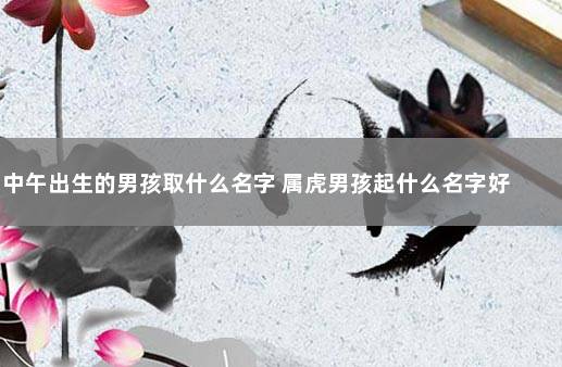 中午出生的男孩取什么名字 属虎男孩起什么名字好