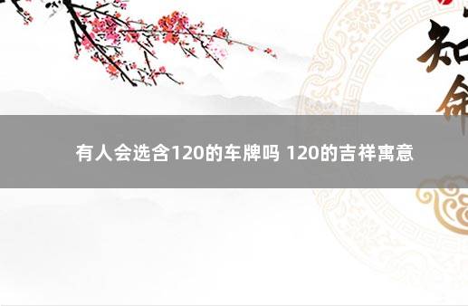 有人会选含120的车牌吗 120的吉祥寓意