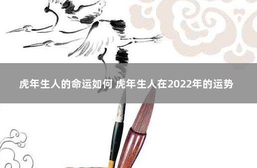 虎年生人的命运如何 虎年生人在2022年的运势