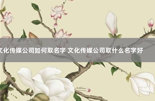 文化传媒公司如何取名字 文化传媒公司取什么名字好