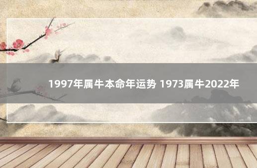 1997年属牛本命年运势 1973属牛2022年运程