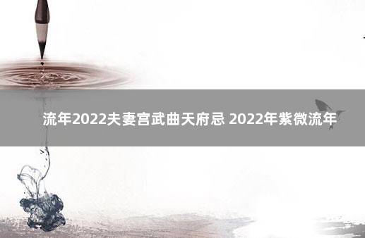 流年2022夫妻宫武曲天府忌 2022年紫微流年命盘