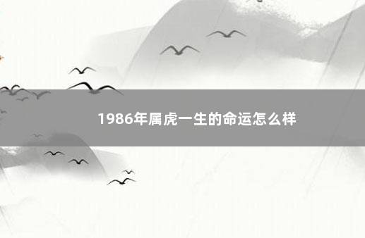 1986年属虎一生的命运怎么样