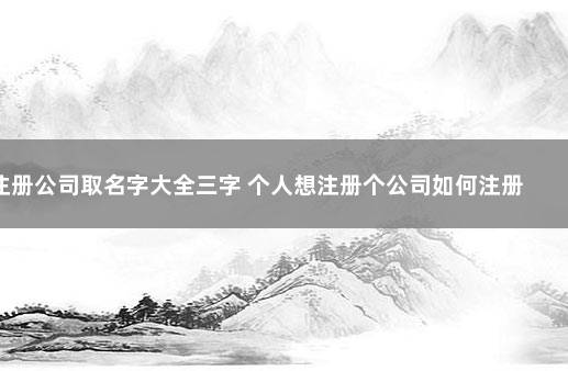 注册公司取名字大全三字 个人想注册个公司如何注册