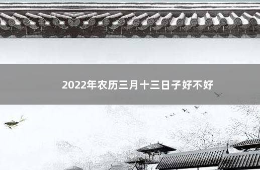 2022年农历三月十三日子好不好