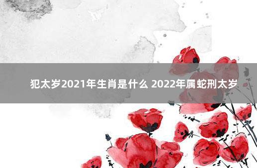 犯太岁2021年生肖是什么 2022年属蛇刑太岁化解方法