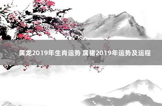 属龙2019年生肖运势 属猪2019年运势及运程