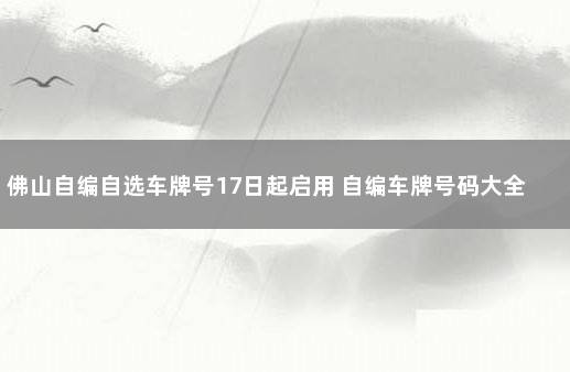 佛山自编自选车牌号17日起启用 自编车牌号码大全