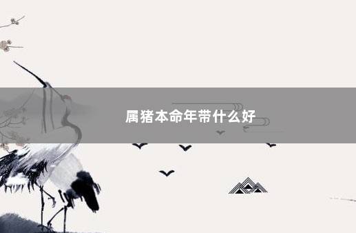 属猪本命年带什么好