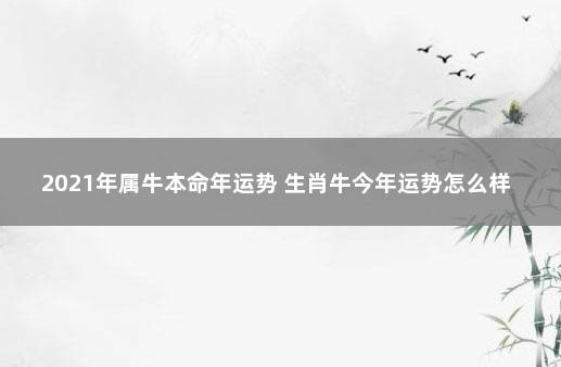 2021年属牛本命年运势 生肖牛今年运势怎么样