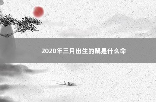 2020年三月出生的鼠是什么命