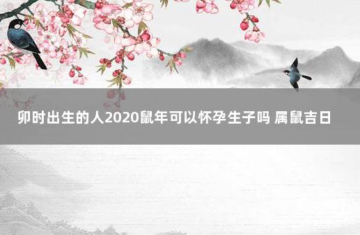 卯时出生的人2020鼠年可以怀孕生子吗 属鼠吉日出生最好命运