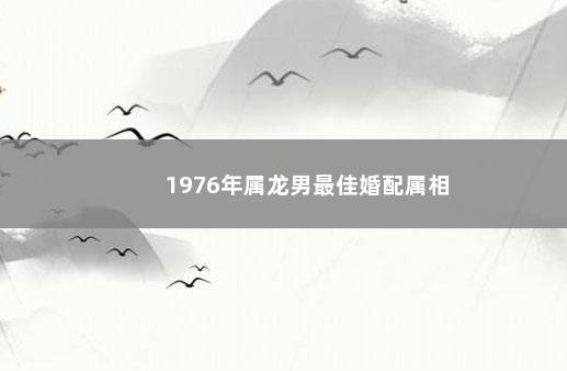 1976年属龙男最佳婚配属相