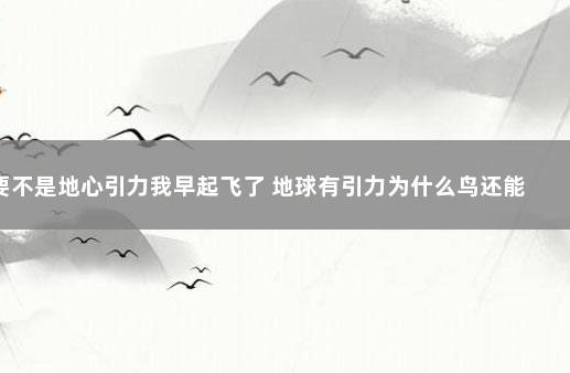 要不是地心引力我早起飞了 地球有引力为什么鸟还能飞