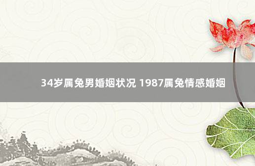 34岁属兔男婚姻状况 1987属兔情感婚姻