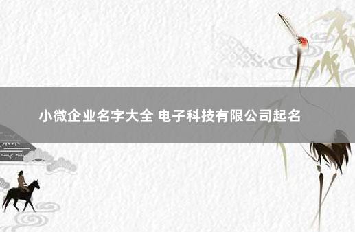 小微企业名字大全 电子科技有限公司起名