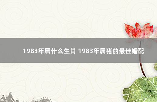 1983年属什么生肖 1983年属猪的最佳婚配