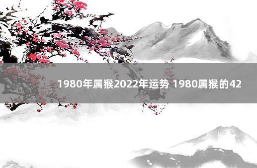 1980年属猴2022年运势 1980属猴的42岁以后运气