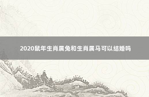 2020鼠年生肖属兔和生肖属马可以结婚吗