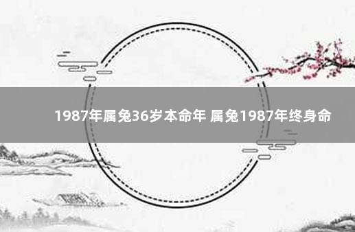 1987年属兔36岁本命年 属兔1987年终身命运