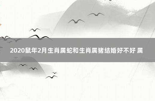 2020鼠年2月生肖属蛇和生肖属猪结婚好不好 属猪为什么不能和属蛇一起