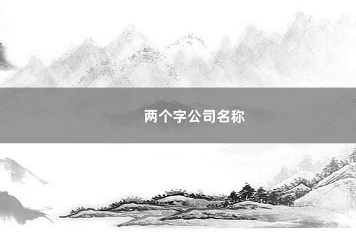 两个字公司名称